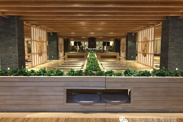 重庆桑拿，养生秘籍，热辣来袭！